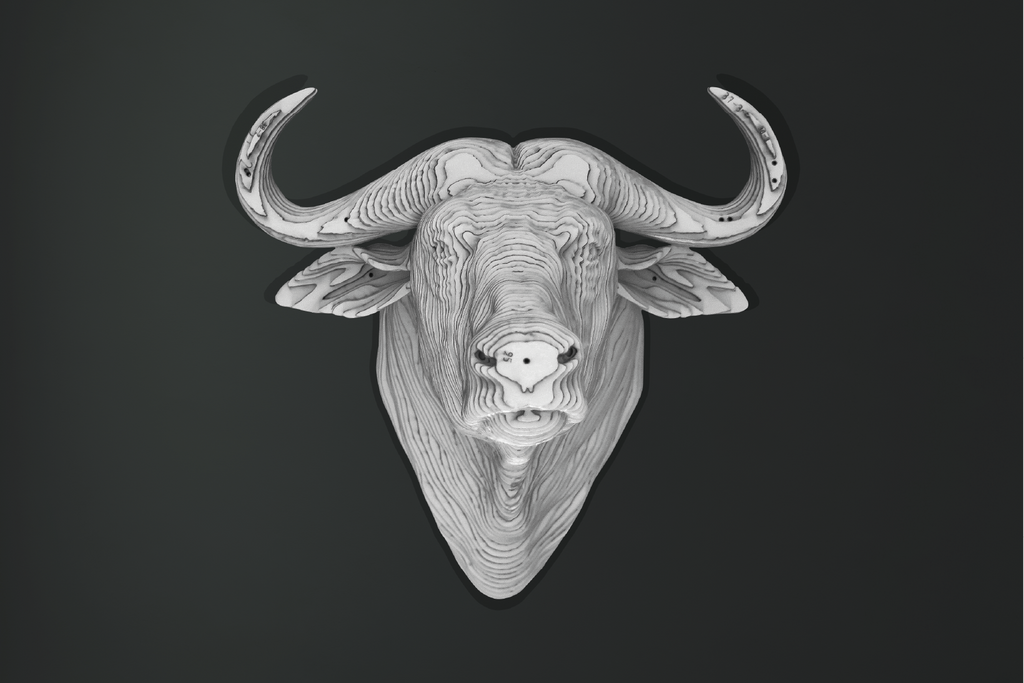 Tête de Buffle CART vue de profil