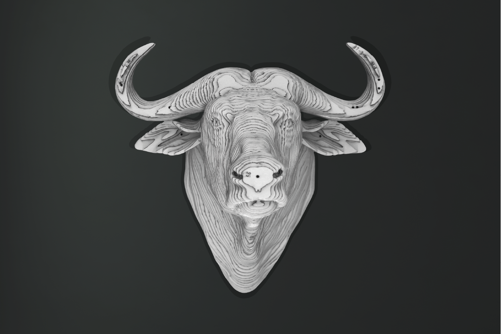 Tête de Buffle CART vue de profil