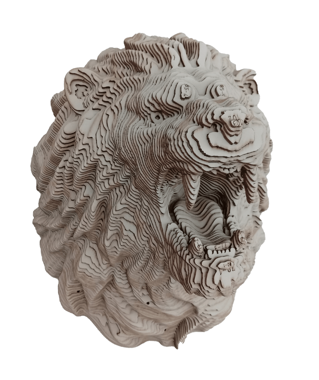 Tête de Lion CART en situation