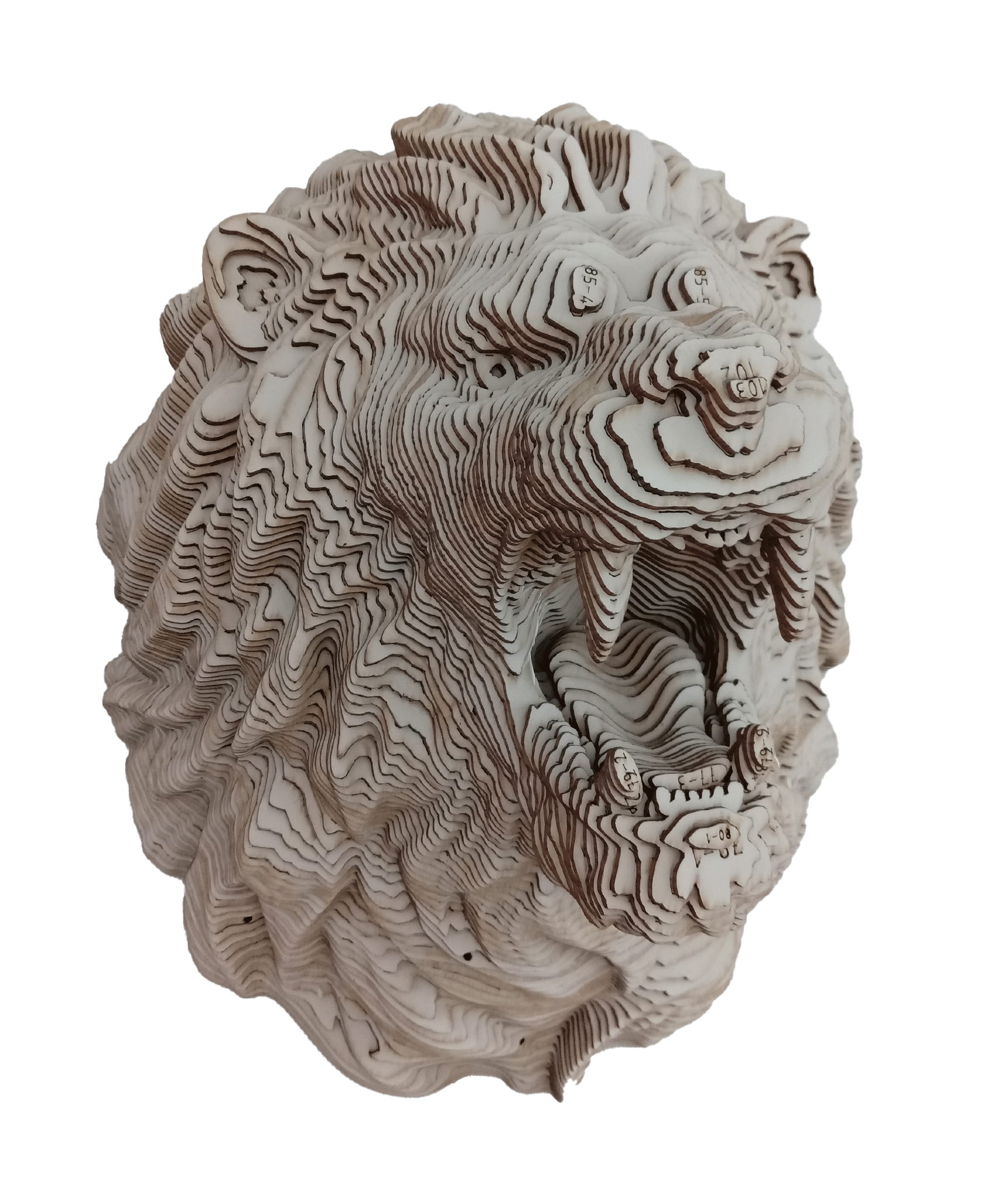 Tête de Lion CART en situation