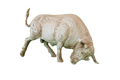 Taureau