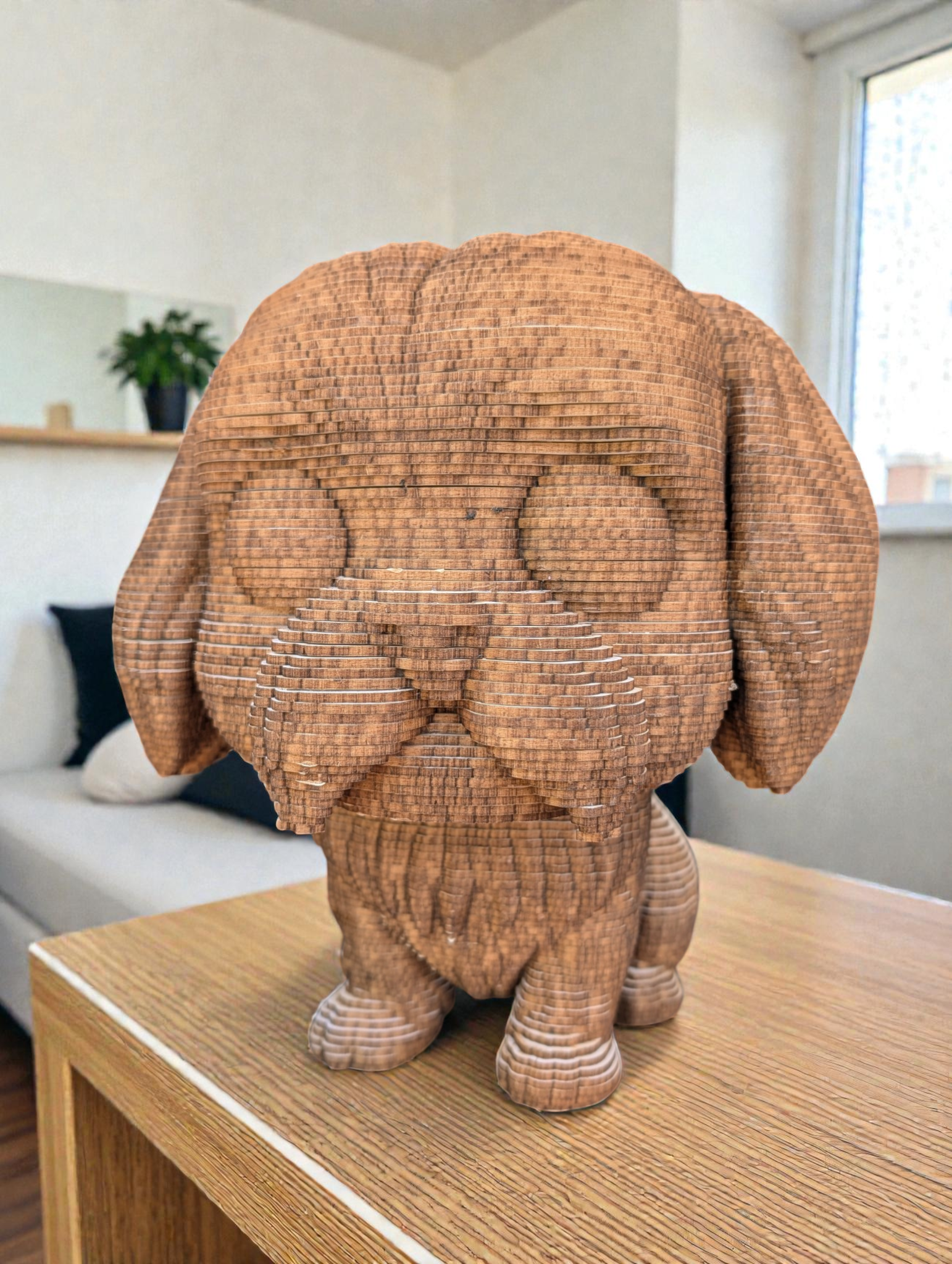 Sam le Petit Chien