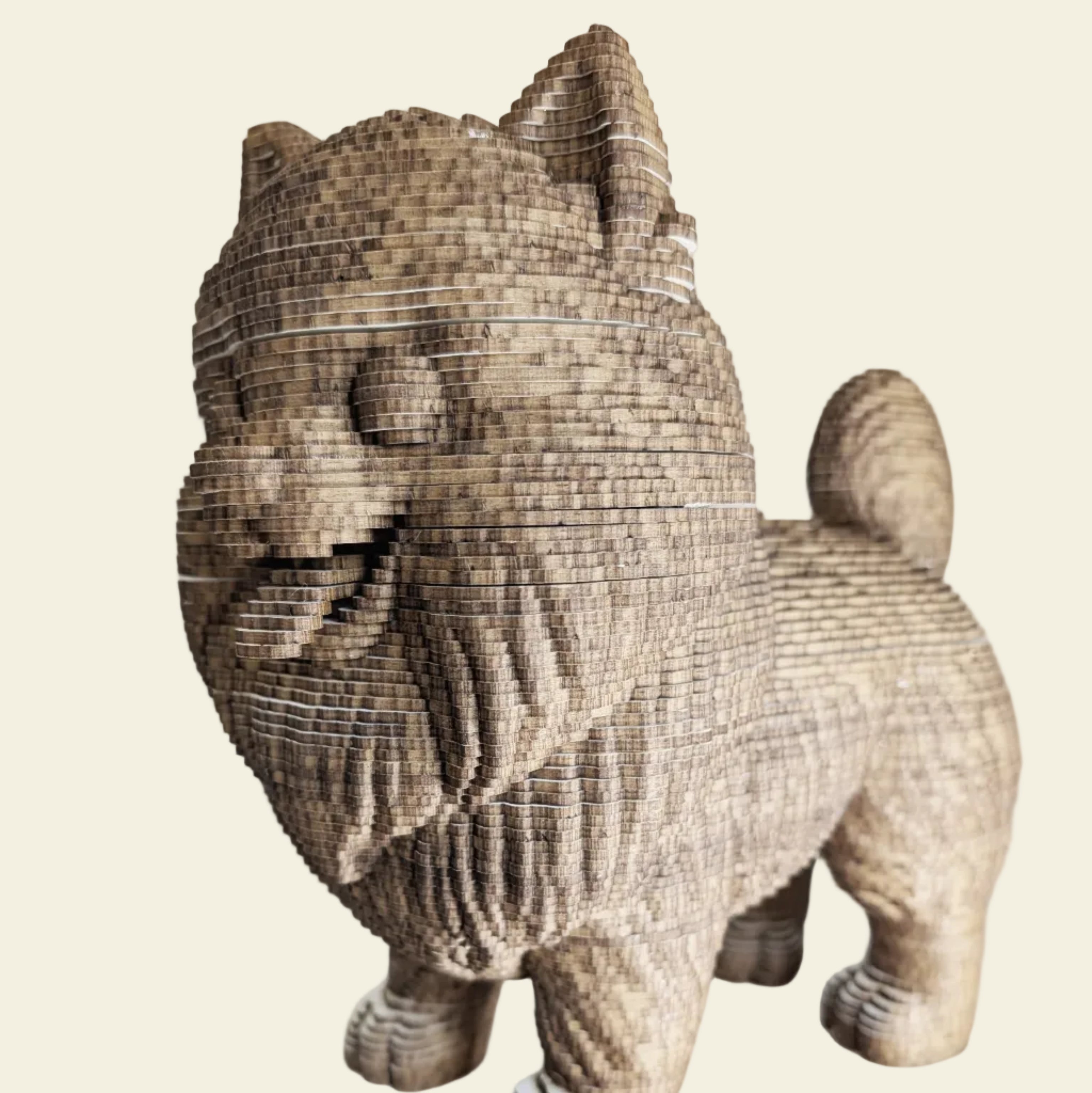 Bill le Petit Chien