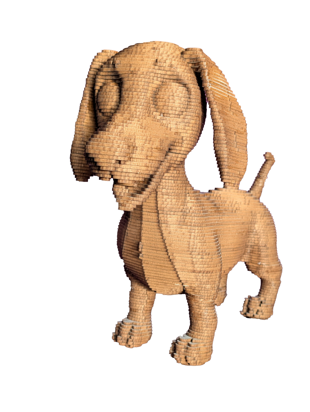 Jack le Petit Chien