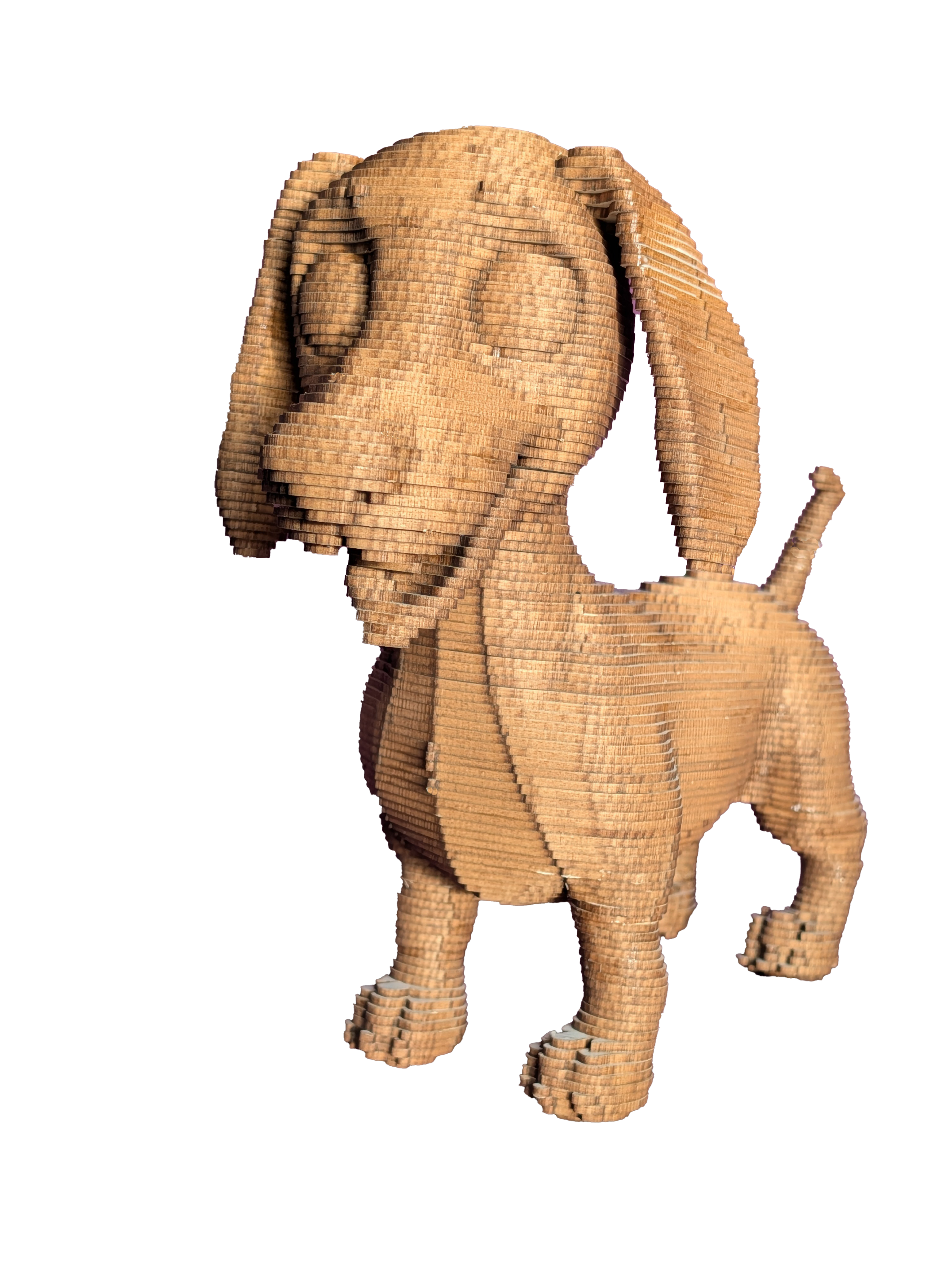 Jack le Petit Chien