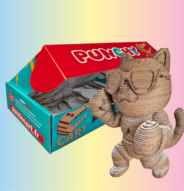 Punchy le Chat Boxeur