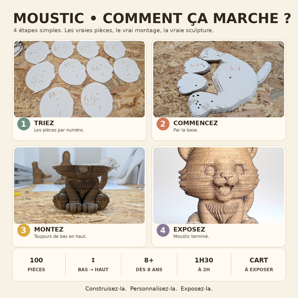 Moustic le Petit Chat