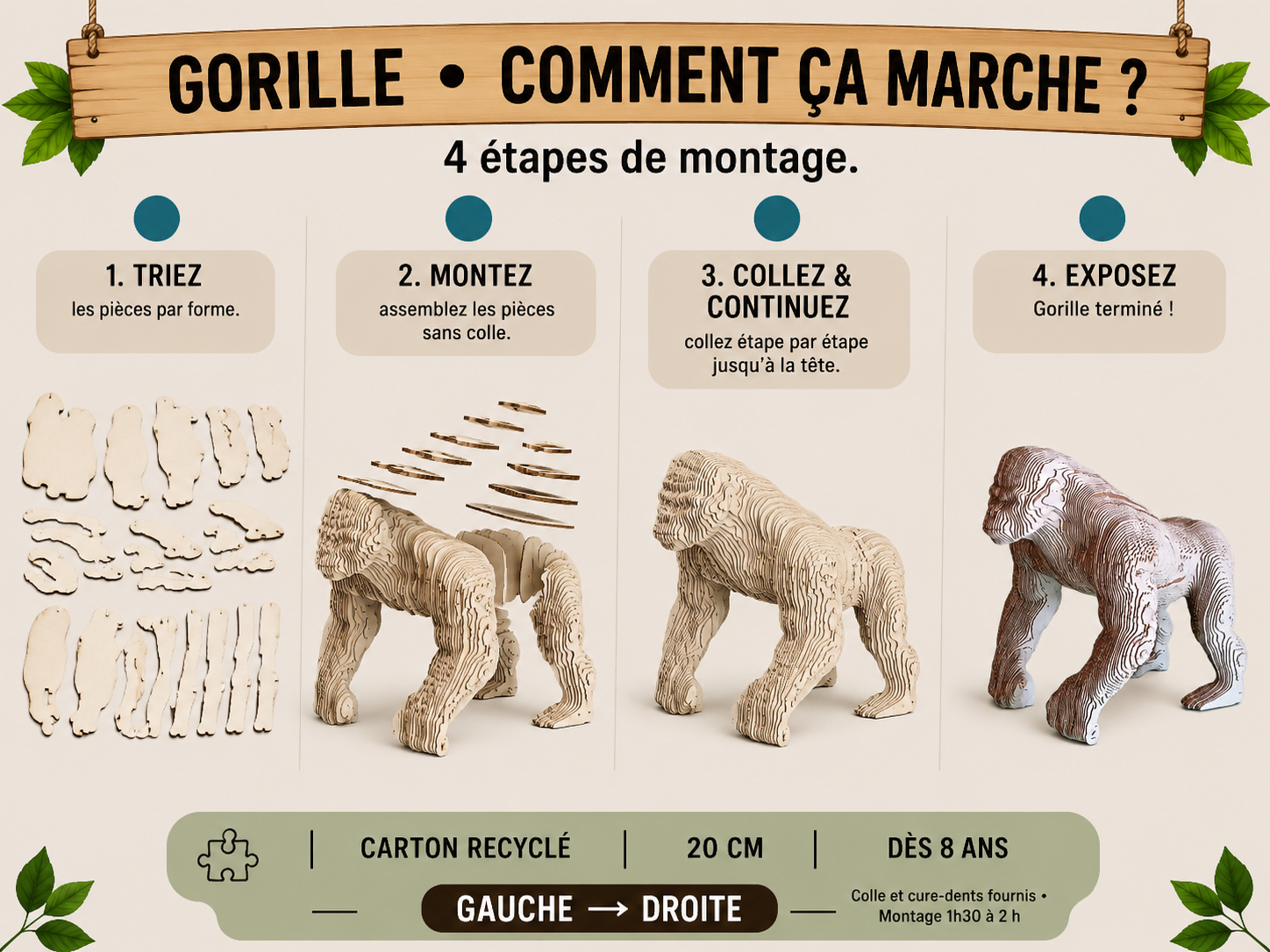 Gorille