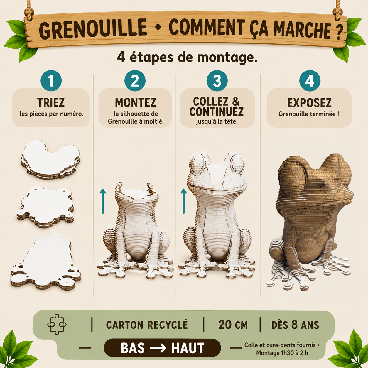 grenouille