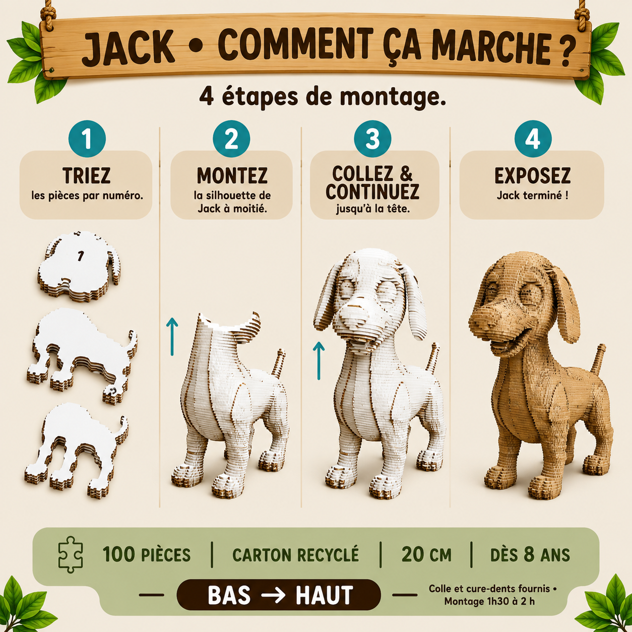 Jack le Petit Chien