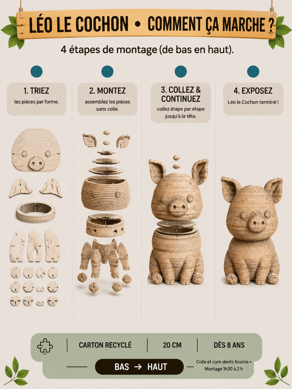 Léo le Bébé Cochon