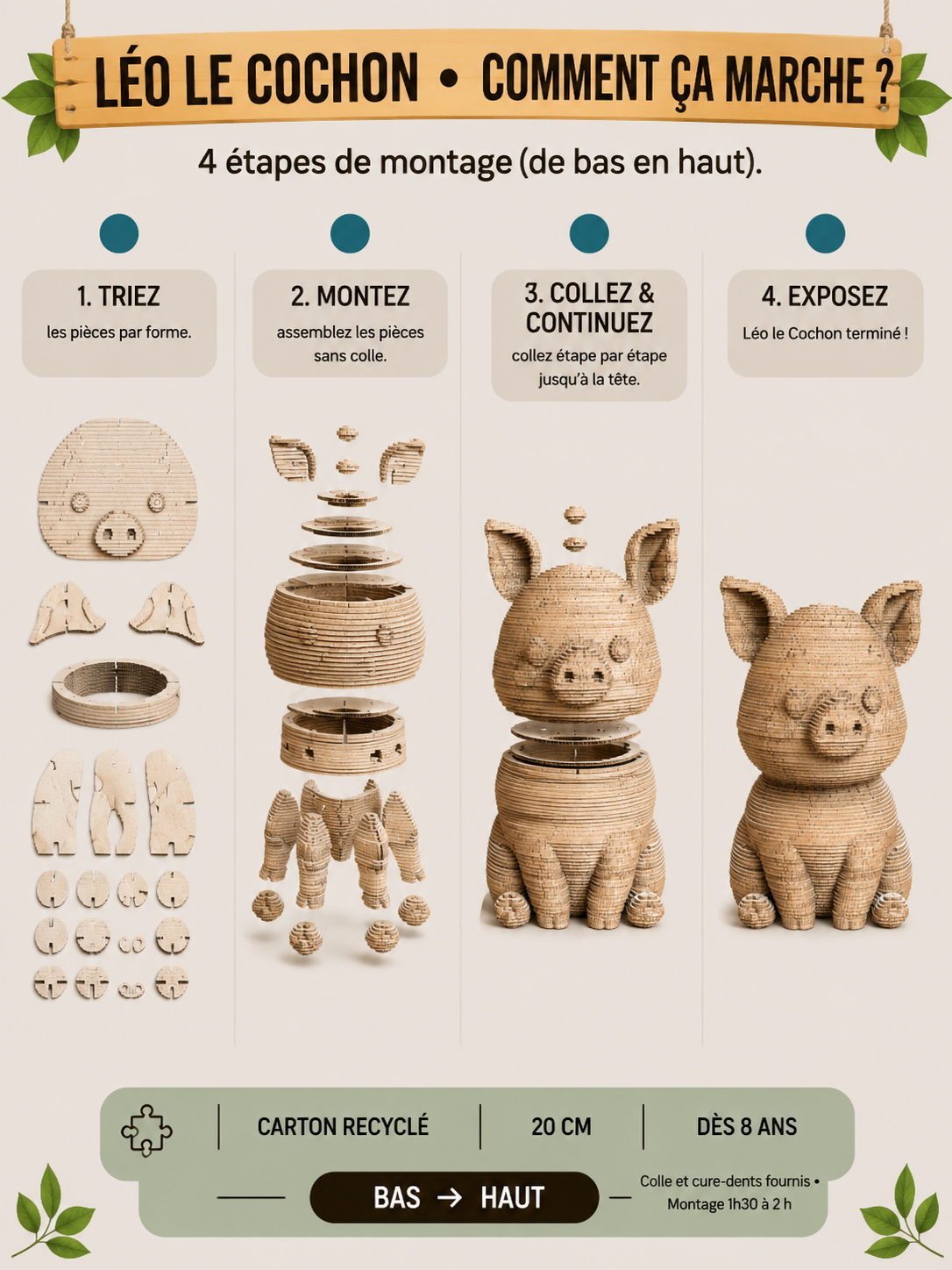 Léo le Bébé Cochon