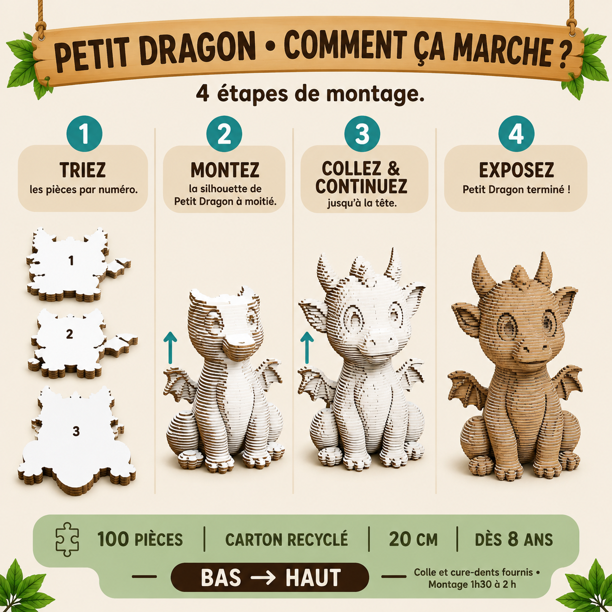 Mon Petit Dragon