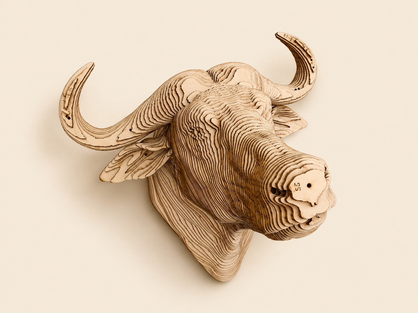 Tête de Buffle