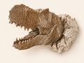 Tête de Dinosaure