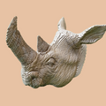 Tête de Rhinocéros