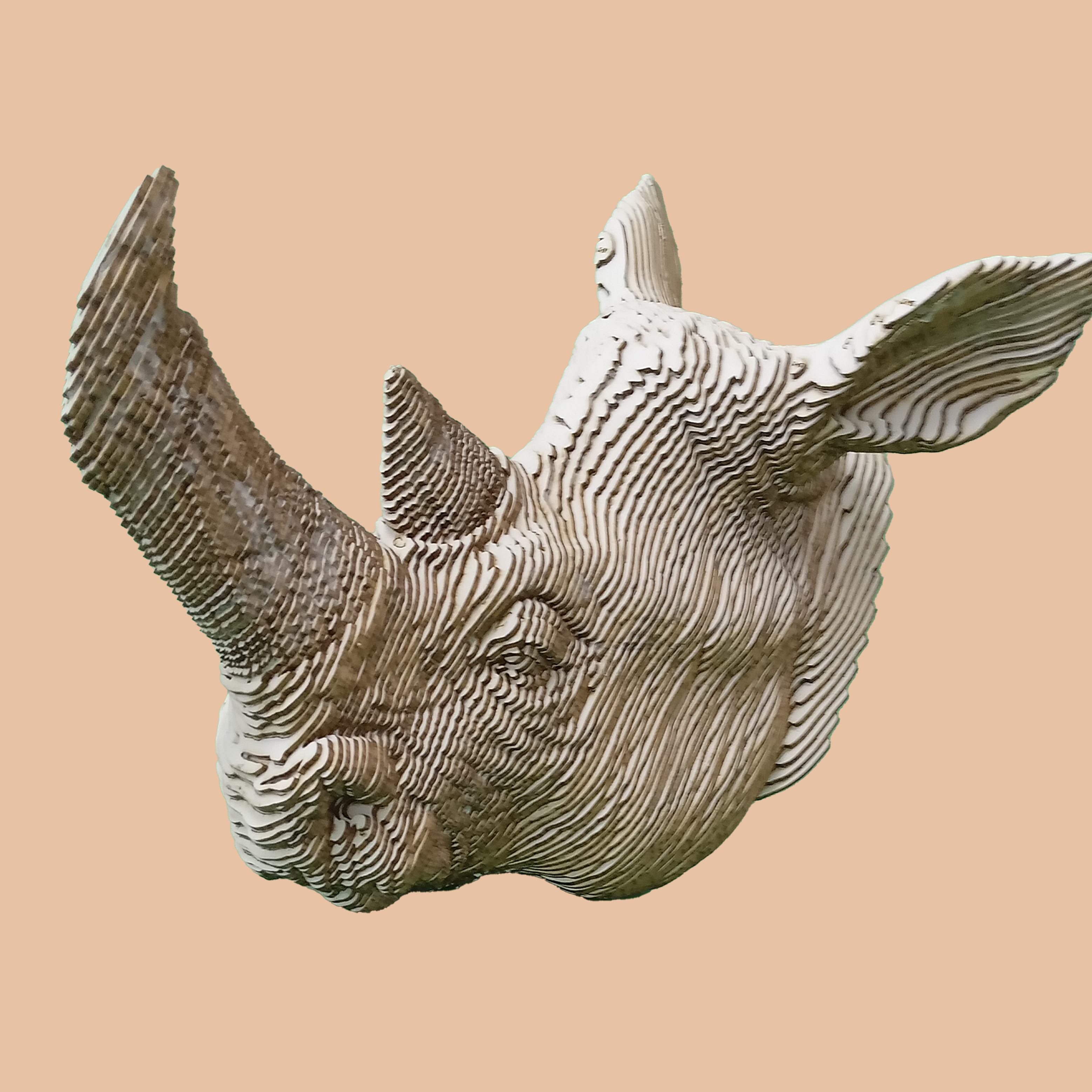 Tête de Rhinocéros